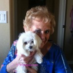 Little Lacy Loves her new home in Arizonia!